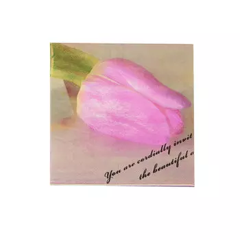 Салфетки 33*33см, 2-х слойные AY, 20 шт/упак (AY-1665)