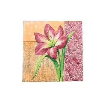 Салфетки 33*33см, 2-х слойные AY, 20 шт/упак (AY-1660)