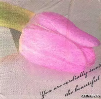 Салфетки 33*33см, 3-х слойные AY, 20 шт/упак (AY-1665)