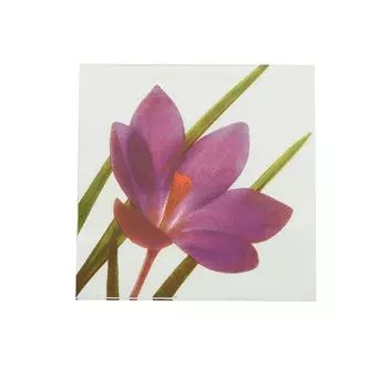 Салфетки 33*33см, 3-х слойные AY, 20 шт/упак (AY-1666)