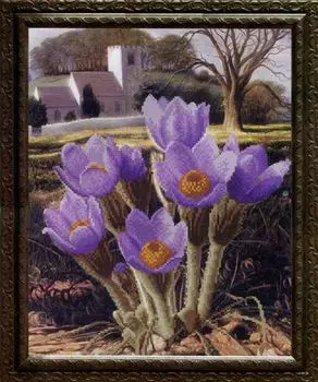 СБ-1035 Канва с рисунком для вышивания бисером 'Крокусы' Hobby&amp;Pro 26,5*33см