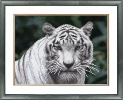 СБ-145 Схема для вышивания бисером на авторской канве 'Чарівна мить', 30*23 см