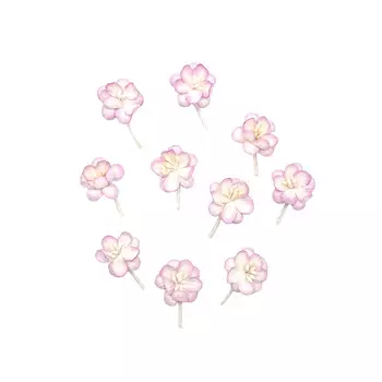 SCB3002 Набор цветки вишни из бумаги, упак./10 шт. (04 розовый/белый)