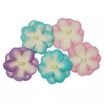 SCB3004 Набор двойных цветочков 'Анютины глазки', упак./5 шт. (03 пастельный)