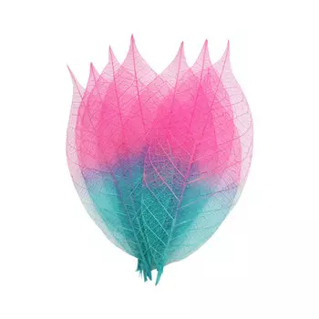 SCB300510 Скелетированные листочки из бананового дерева, красно-синий, упак./8 шт., ScrapBerry's