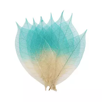 SCB300511 Скелетированные листочки из бананового дерева, бело-голубой, упак./8 шт., ScrapBerry's