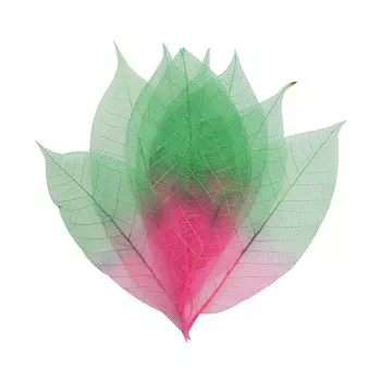 SCB300512 Скелетированные листочки из бананового дерева, малиново-зеленый, упак./8 шт., ScrapBerry's