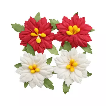 SCB300902 Пуансеттия, d 2,7 см, упак./5 шт.