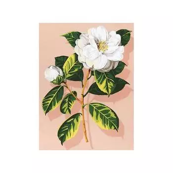 SE926-233 Канва с рисунком SEG de Paris 'Камелия' 40*50 см