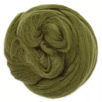 Шерсть для валяния полутонкая, 50 гр., 'Астра' (1384 морские водоросли)