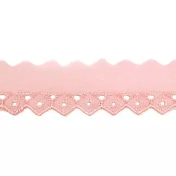 Шитье 2,5см 100% полиэстер) 0570-1006 (А549-А549)