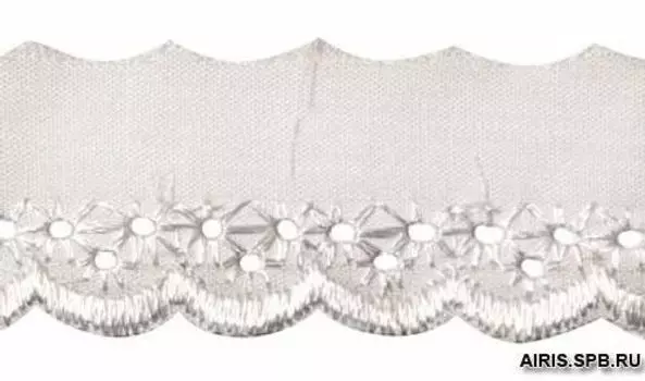 Шитье 2,5см (100% полиэстер) ТСВ-1010 (белый)