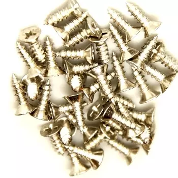 Шуруп 2,5*8 упак/10гр (хром)