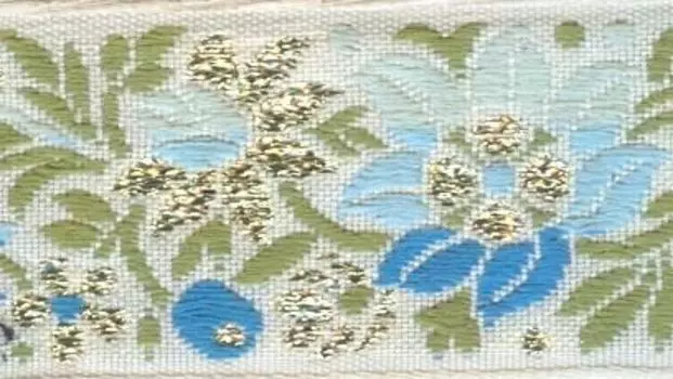 SR1370 Тесьма жаккардовая, 30 мм*17 м, 'Астра' (132L)