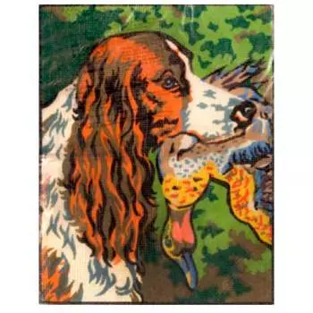 SR-186 ANCHOR Канва с нанесенным рисунком 28*36см