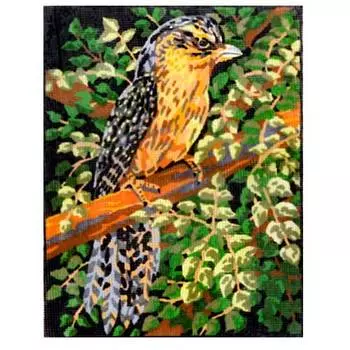 SR-187 ANCHOR Канва с нанесенным рисунком 28*36см