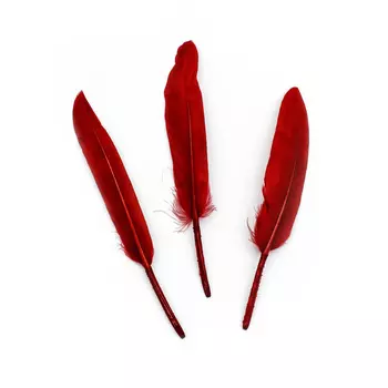ST94050H Перья декоративные, 14см,24 шт/упак (H-красный)