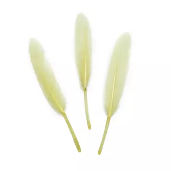 ST94050H Перья декоративные, 14см,24 шт/упак (J-молочный)
