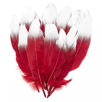 ST94062C Перья декоративные 'Красное с белым',18-20см, 10 шт/упак