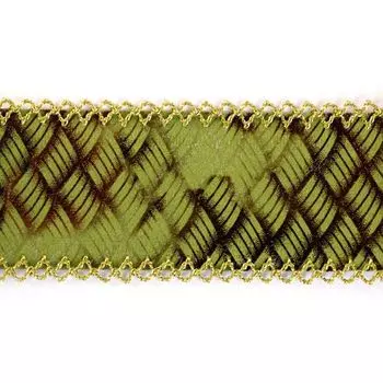 Тесьма 108751 2,5см*1,5м (зеленый/коричневый)