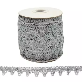 Тесьма отделочная TR105, 25мм*25м (серебро)