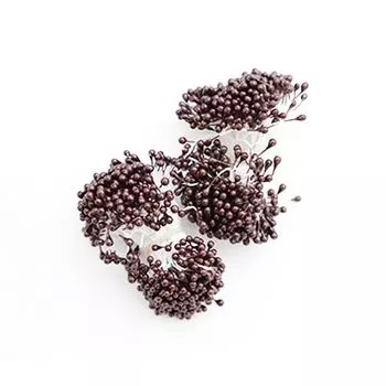 Тычинки, 2 пучка (кофейный)