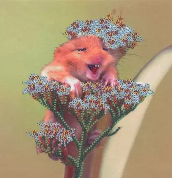 В1066 Канва с рисунком Alisena