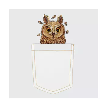 В-245 Набор для вышивания крестом на одежде МП Студия 'Любопытная совушка' 9*9см