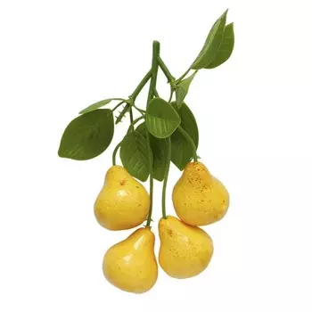 XHL162 Декоративный букетик 'Груши', 13*8см Астра