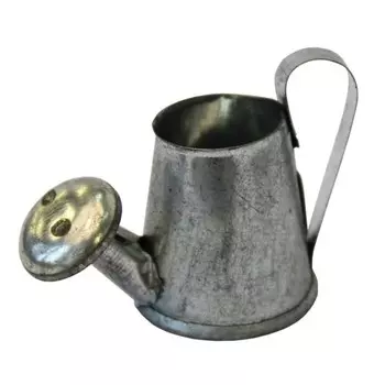 XQ3436A Металлическая лейка 4*7,5*4,5см Астра