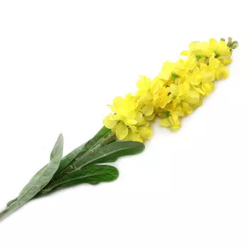 XY118-63004 Люпины, 78см (D Желтый)