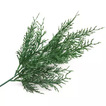 XY19-406 Ветка туи, 38см