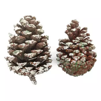 XY19-834 Шишки обработанные натуральные длина 10-12 см, ширина 6-8 см, 2шт/упак (Белые)