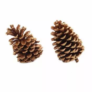 XY19-834 Шишки обработанные натуральные длина 10-12 см, ширина 6-8 см, 2шт/упак (Золото)