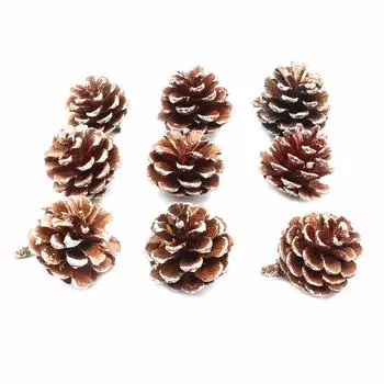 XY19-838 Шишки обработанные натуральные длина 6-8 см, 5-7 см, 9шт/упак (Белые)