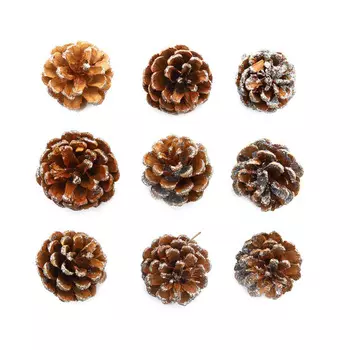 XY19-838 Шишки обработанные натуральные длина 6-8 см, 5-7 см, 9шт/упак (Серебро)