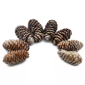 XY19-844 Шишки обработанные натуральные длина 6-8 см, ширина 3-4 см, 8шт/упак (Серебро)