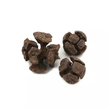 YW054 Декоративные элементы натуральные. Шишка кипариса, 1-2 см, 30гр