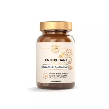 Apotheka, Antioxidant, капсулы, 60 шт.