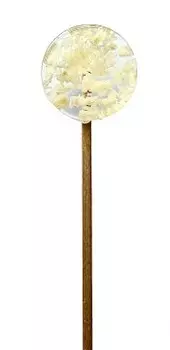 Lollipops, Леденец на палочке из изомальта с сублимированным кокосом, 1 шт.