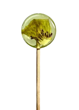 Lollipops, Леденец на палочке из изомальта с сублимированным киви, 1 шт.