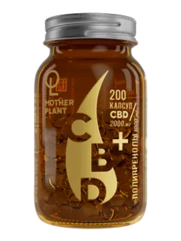 MotherPlant, Масло CBD с полипренолами, капсулы, 200 шт.