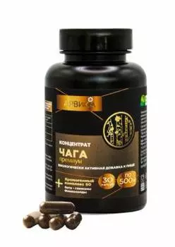 Простые решения, Концентрат Чага премиум, капсулы, 30 шт.