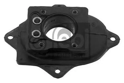 ФЛАНЕЦ, ЦЕНТРАЛЬНЫЙ ВПРЫСК