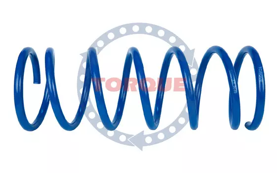 ПРУЖИНА ПОДВЕСКИ TS 5035