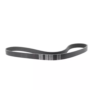 РЕМЕНЬ ПОЛИКЛИНОВОЙ