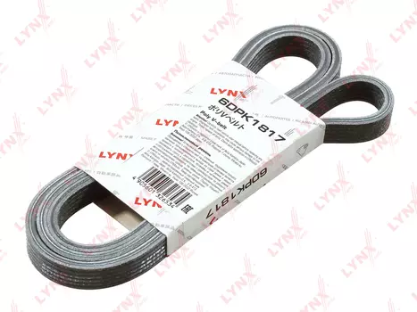 РЕМЕНЬ ПОЛИКЛИНОВОЙ