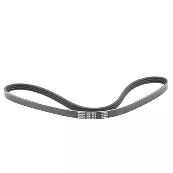 РЕМЕНЬ ПОЛИКЛИНОВОЙ