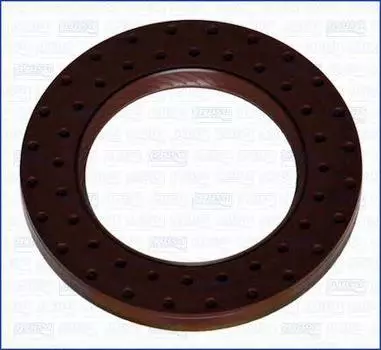 САЛЬНИК ПЕРЕДНИЙ