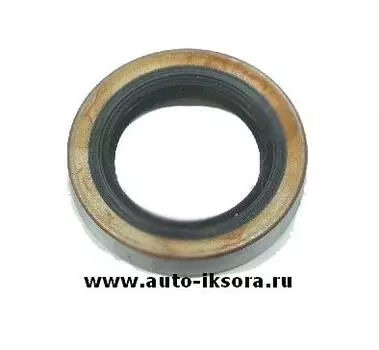 САЛЬНИК ШЕСТЕР ПЕРЕД ДИФФЕРЕНЦИАЛА